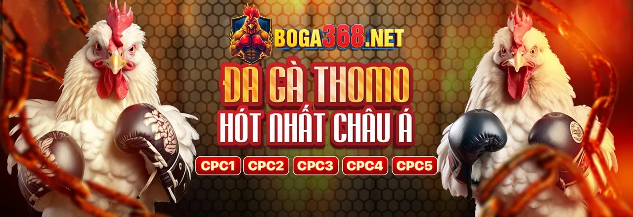 Hình ảnh gà đá cựa sắt sắc bén, thể hiện sự quyết liệt trong các trận đấu đá gà cựa sắt tại CASINO BL555.